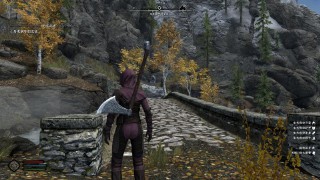 上古卷轴5萌新入坑指南（上古卷轴5重制版种族）