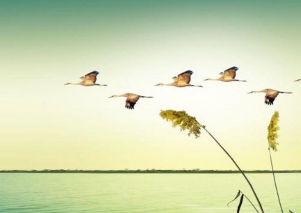 梦见自己飞翔在天空（ 中年女人梦见自己会飞 ）