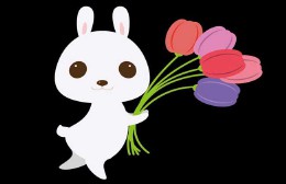 十二生肖最佳婚配（ 男女十二生肖婚配表全解 ）