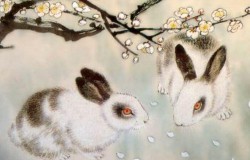 桃花运最好的生肖有哪些（ 2023年桃花运最好的生肖 ）