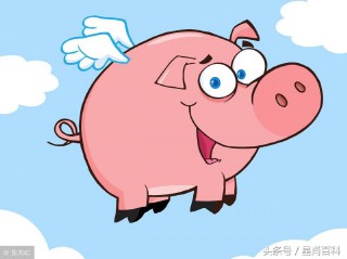 属猪和所有生肖配对（ 懒飞最失败望天打卦猜一生肖 ）