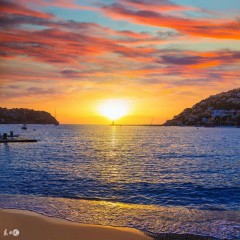 梦见死人和棺材预示着什么（ 梦到很多死人和棺材是什么意思 ）