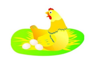 梦见鸡下蛋什么意思（ 已婚女人梦见鸡下蛋什么意思 ）