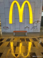 梦见拉屎在裤子里（男人梦到拉屎拉到裤子里）