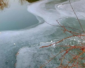 梦见扭秧歌是什么预兆（梦见一群人扭秧歌是什么预兆）