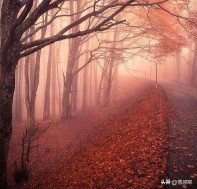 梦见扭秧歌是什么预兆（梦见一群人扭秧歌是什么预兆）