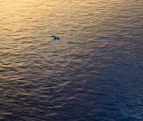 梦见扭秧歌是什么预兆（梦见一群人扭秧歌是什么预兆）