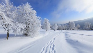梦见冰天雪地是什么意思（已婚女人梦见冰天雪地行走）