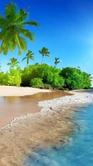 梦见上牙掉了一颗是什么意思（上牙代表父母下牙代表儿女）