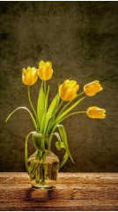 女性梦见死人是什么兆头（ 女人梦见死人是好事还是坏事 ）