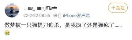 做梦梦见被追杀是什么意思（ 梦见被追杀最后惊醒 ）