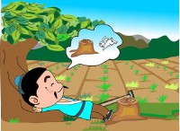 守株待兔的故事道理（ 守株待兔故事告诉学生什么道理 ） 