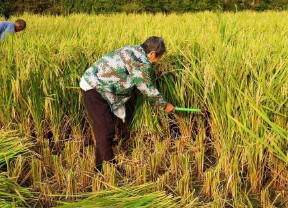 万事如意的梦境有哪些（ 大吉大利的梦有哪些 ）