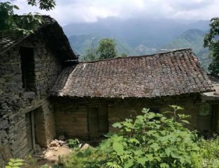 十大最常见梦境解析（ 预示发财的十大梦境 ）