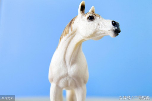 梦见马是什么意思 周公解梦（ 梦见马是什么吉兆 ）