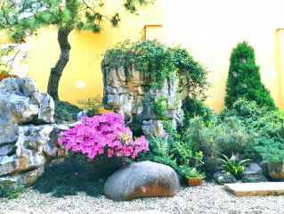 最近梦见死去的亲人是什么意思（ 梦见活着的亲人死了 ）