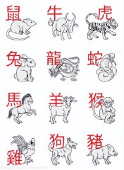 生肖属相为什么只有十二个属相（ 属马的和什么属相最配 ）