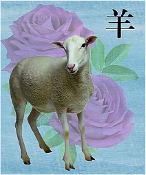 生肖属相为什么只有十二个属相（ 属马的和什么属相最配 ）