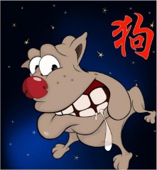 生肖属相为什么只有十二个属相（ 属马的和什么属相最配 ）