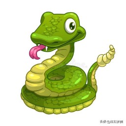 生肖蛇与生肖兔合不合（ 猴子的三合贵人和6合贵人 ）