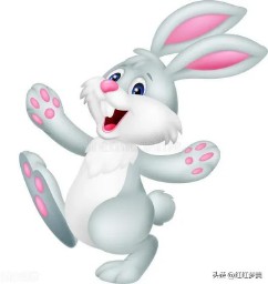 生肖蛇与生肖兔合不合（ 猴子的三合贵人和6合贵人 ）