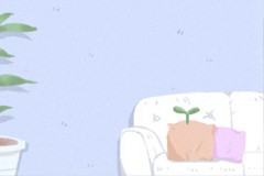 2011年是什么生肖年份（2011年是哪年属相）