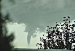 做梦梦见龙卷风是什么意思（ 梦见龙卷风跟仙人一样 ）