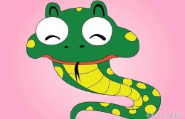 2013年是什么生肖年份（ 13年1月出生的今年几岁 ）