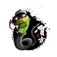 属蛇的命运一生怎么样（ 什么蛇是好命蛇 ）