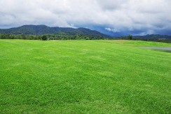 梦见被蟒蛇咬了是什么征兆（ 梦见被蟒蛇咬了自己的手 ）