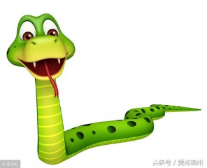 2013年是什么生肖年份（ 2013年是属蛇吗 ）