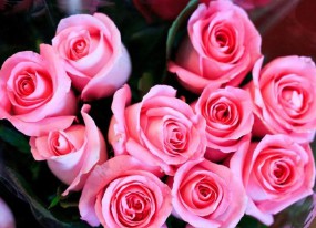 梦见花是什么预兆（ 女人梦见粉花开的旺盛很漂亮 ）