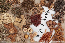 子丑寅卯代表什么生肖（ 子丑寅卯对应的属相 ）