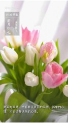 农历转换公历小技巧（ 农历转阳历换算 ）