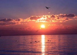 梦见掉牙是怎么回事儿（ 周公解梦掉牙齿好不好 ）