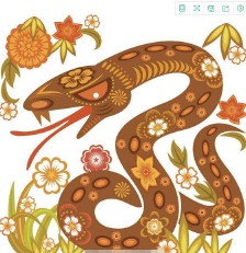 2019什么生肖犯太岁（ 犯太岁是迷信吗 ）