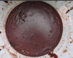 鱼虫怎么养活的时间长（泥鳅的养殖方法和技术）