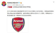 梅苏特厄齐尔言论（ 厄齐尔干了啥 ）