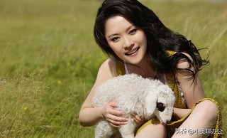 2021最新版的微信网名（微信帐号名字大全）