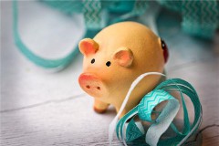  95年属啥（95年出生属什么属相）