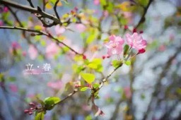 立春这个节气的风俗有什么（立春的民间风俗）