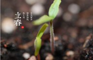 立春这个节气的风俗有什么（立春的民间风俗）