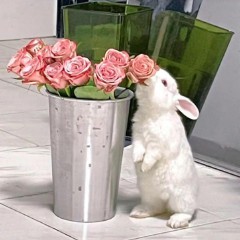  简单又含深意的网名（高雅不俗的微信名）