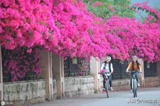 中国的传统节日及风俗寓意（ 我国传统节日有哪些风俗 ）