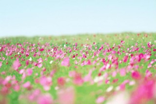 人生感悟的句子(精选50句)