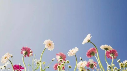 人生感悟的句子(精选50句)