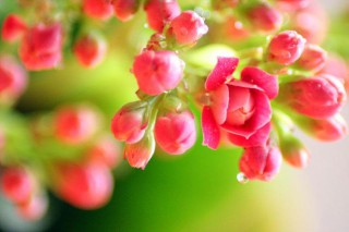 人生感悟的句子(精选50句)