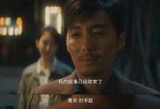 好看的谍战电视剧推荐几部（内地谍战电视排行榜）