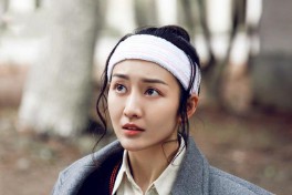 好看的谍战电视剧推荐几部（内地谍战电视排行榜）