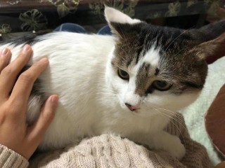 送女性朋友礼物排行榜（女朋友生日送什么礼物好）